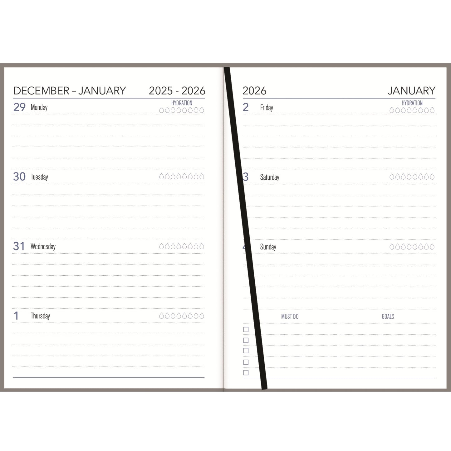 Collins A53 Diary - Carnival