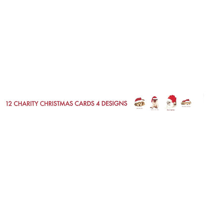 Xmas Boxed Cards - 12 cards, 4 designs