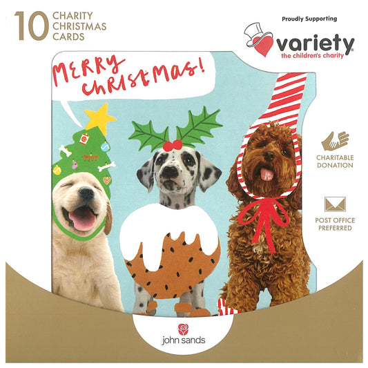Xmas Boxed Cards - 10 Cards/Pack