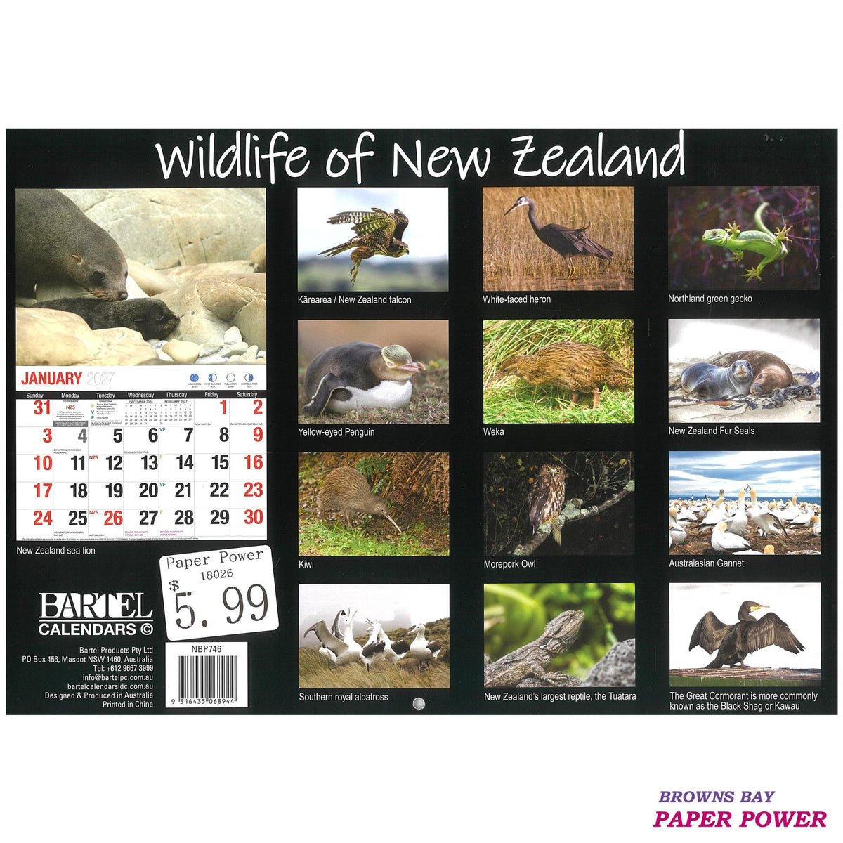 2027 Wall Calendar - Wildlife Of New Zealand