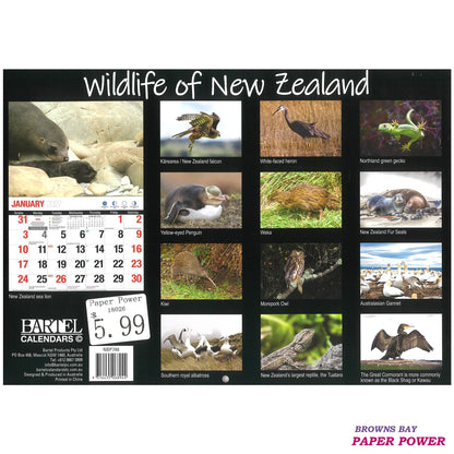 2027 Wall Calendar - Wildlife Of New Zealand