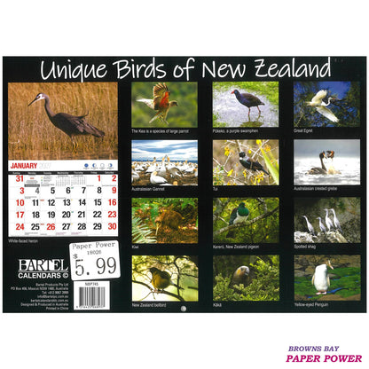 2027 Wall Calendar - Unique Birds Of New Zealand