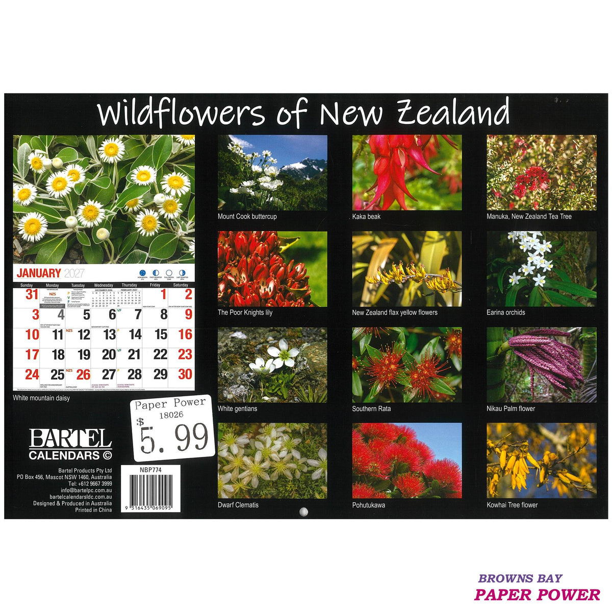 2027 Wall Calendar - Wildflowers Of New Zealand