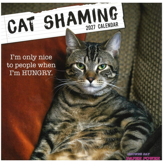2027 Wall Calendar - Cat Shaming