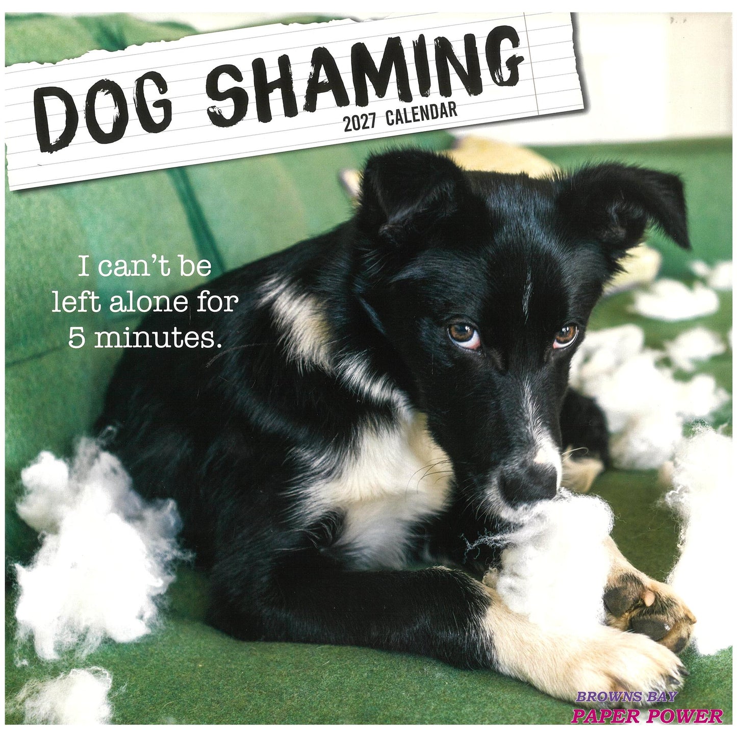 2027 Wall Calendar - Dog Shaming