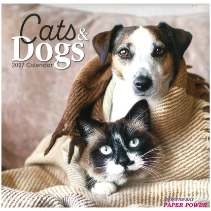 2027 Wall Calendar - Cats & Dogs