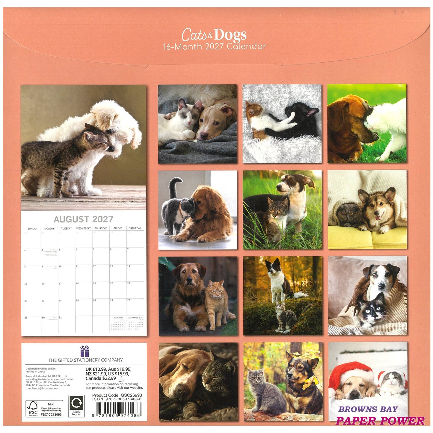 2027 Wall Calendar - Cats & Dogs