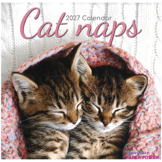 2027 Wall Calendar - Cat Naps