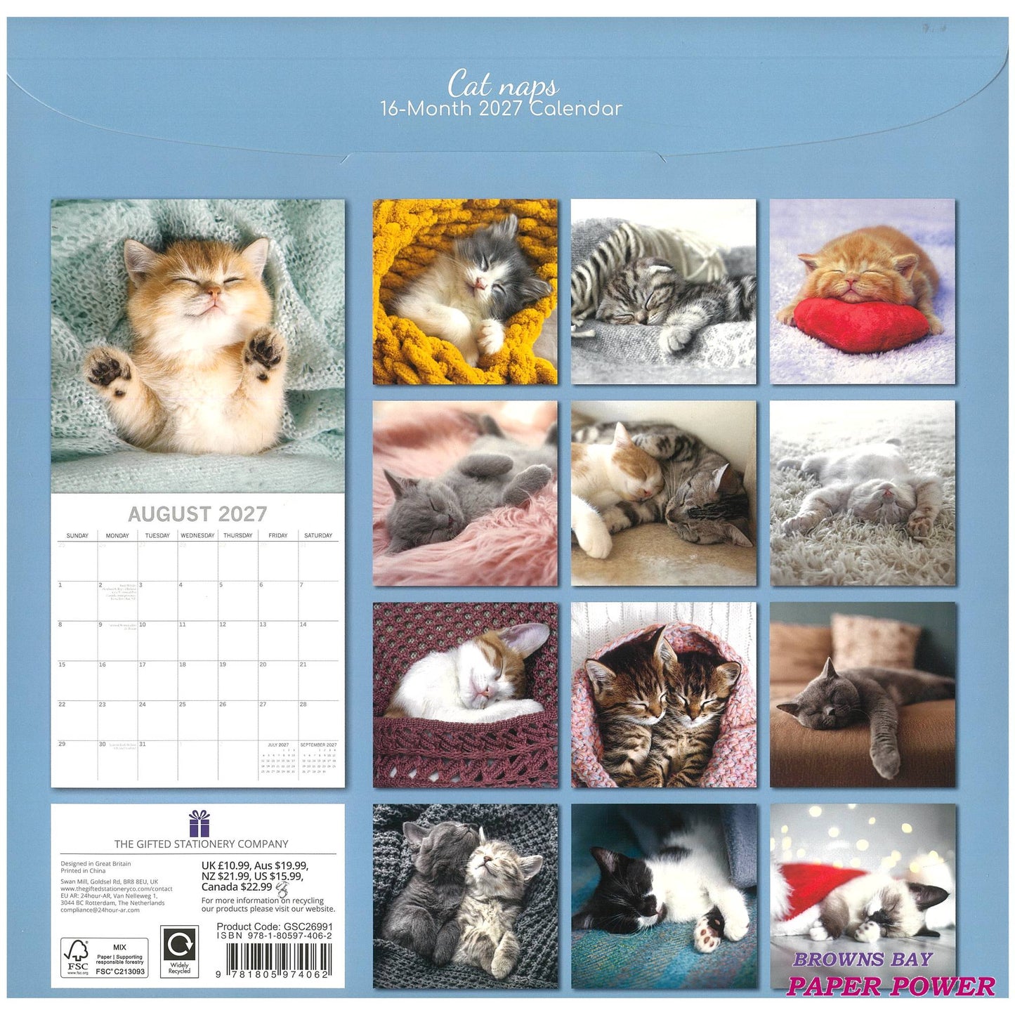 2027 Wall Calendar - Cat Naps