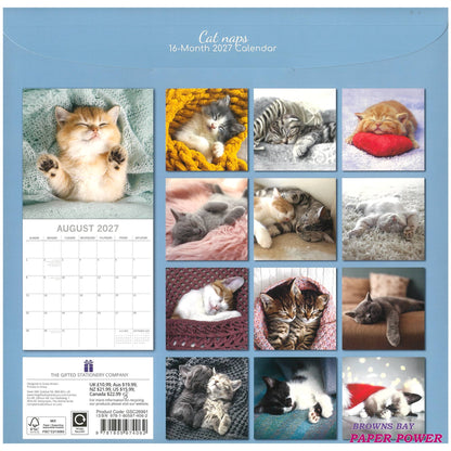2027 Wall Calendar - Cat Naps