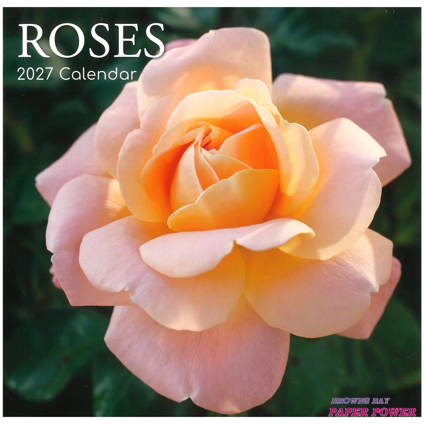 2027 Wall Calendar - Roses