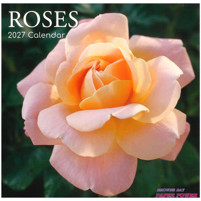 2027 Wall Calendar - Roses