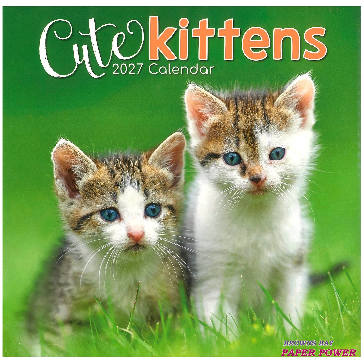 2027 Wall Calendar - Cute Kittens