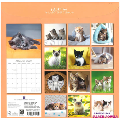 2027 Wall Calendar - Cute Kittens
