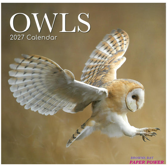 2027 Wall Calendar - Owls