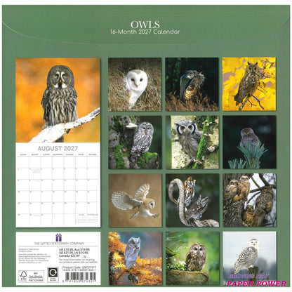 2027 Wall Calendar - Owls