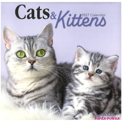 2027 Wall Calendar - Cats & Kittens