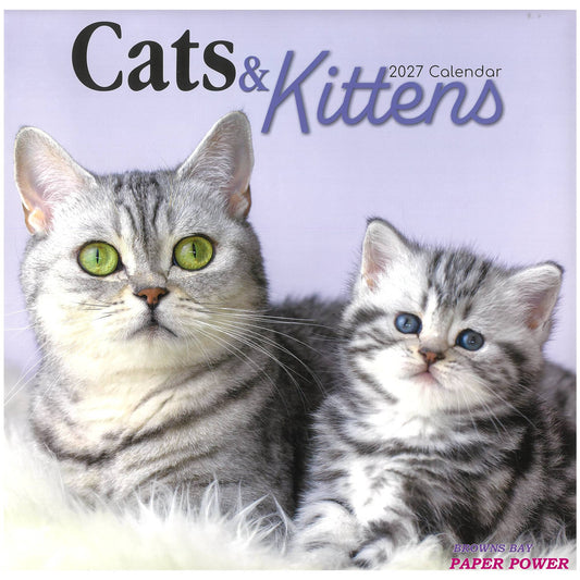 2027 Wall Calendar - Cats & Kittens