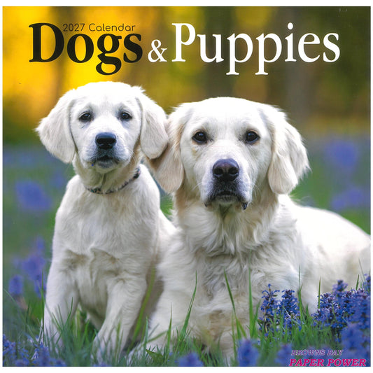 2027 Wall Calendar - Dogs & Puppies