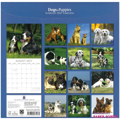2027 Wall Calendar - Dogs & Puppies