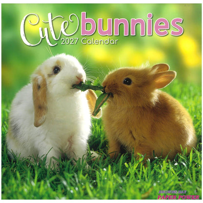 2027 Wall Calendar - Cute Bunnies