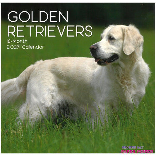 2027 Wall Calendar - Golden Retrievers