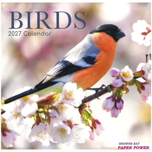 2027 Wall Calendar - Birds