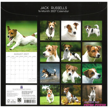 2027 Wall Calendar - Jack Russells