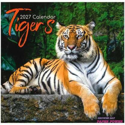 2027 Wall Calendar - Tigers