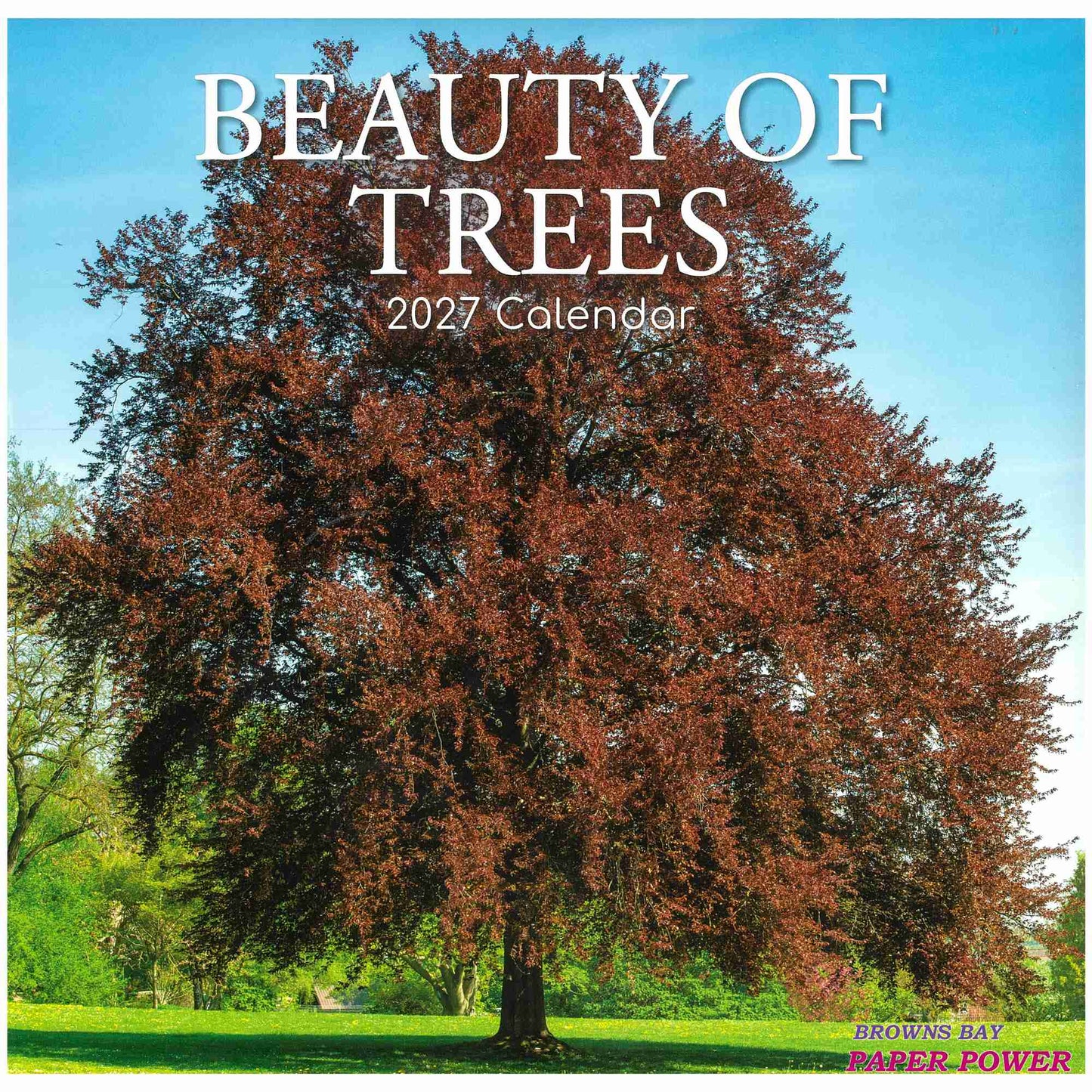 2027 Wall Calendar - Beauty Of Trees