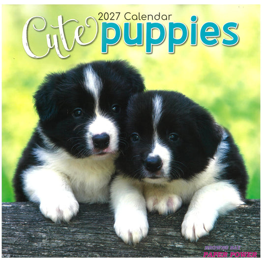 2027 Wall Calendar - Cute Puppies