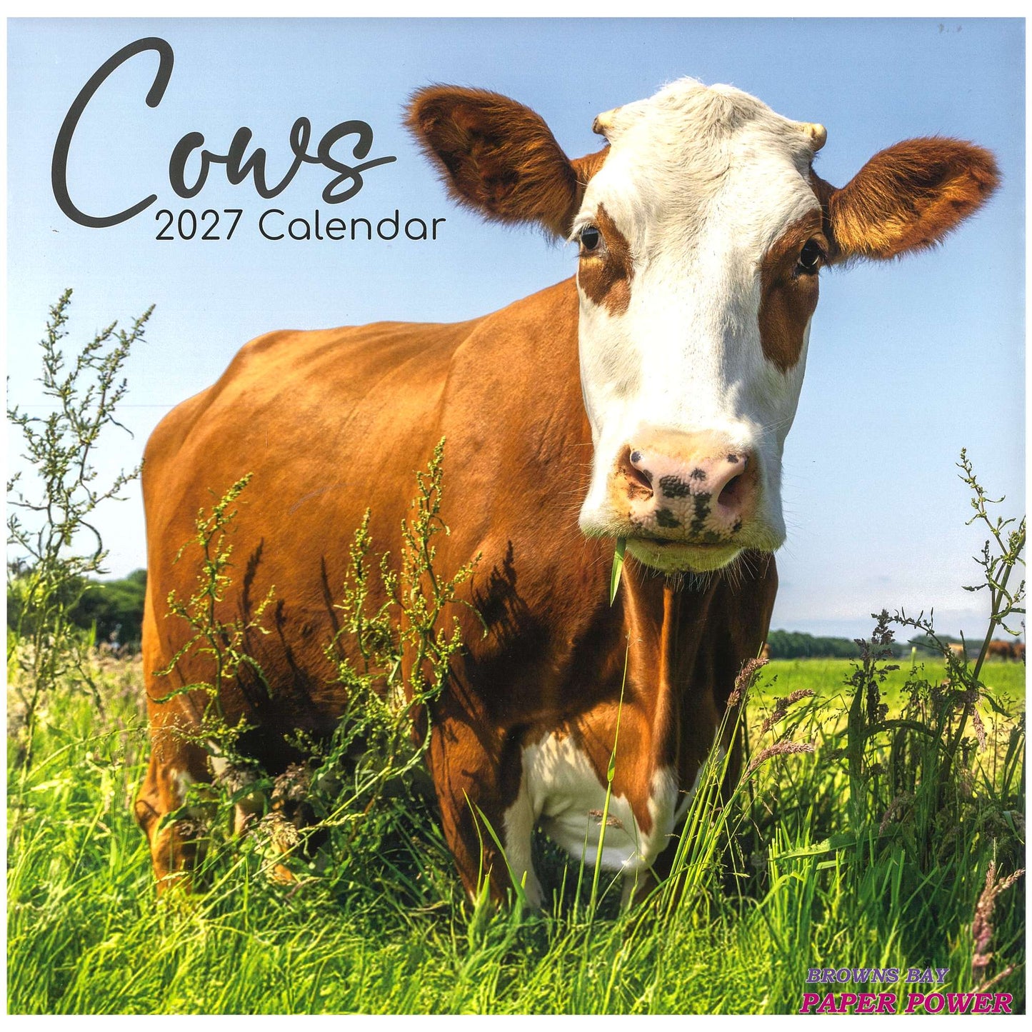 2027 Wall Calendar - Cows