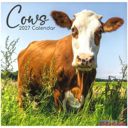 2027 Wall Calendar - Cows