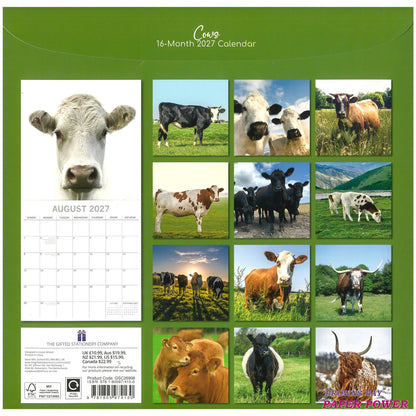 2027 Wall Calendar - Cows