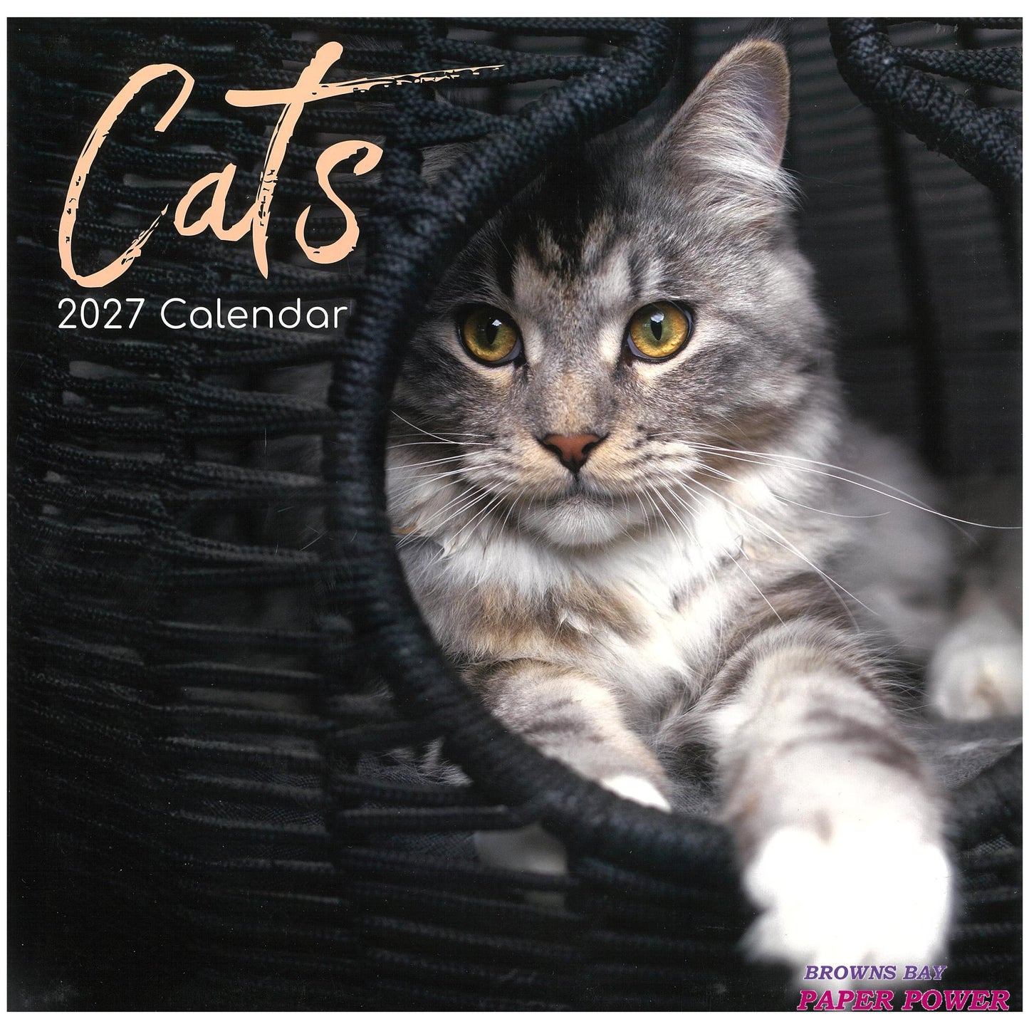 2027 Wall Calendar - Cats