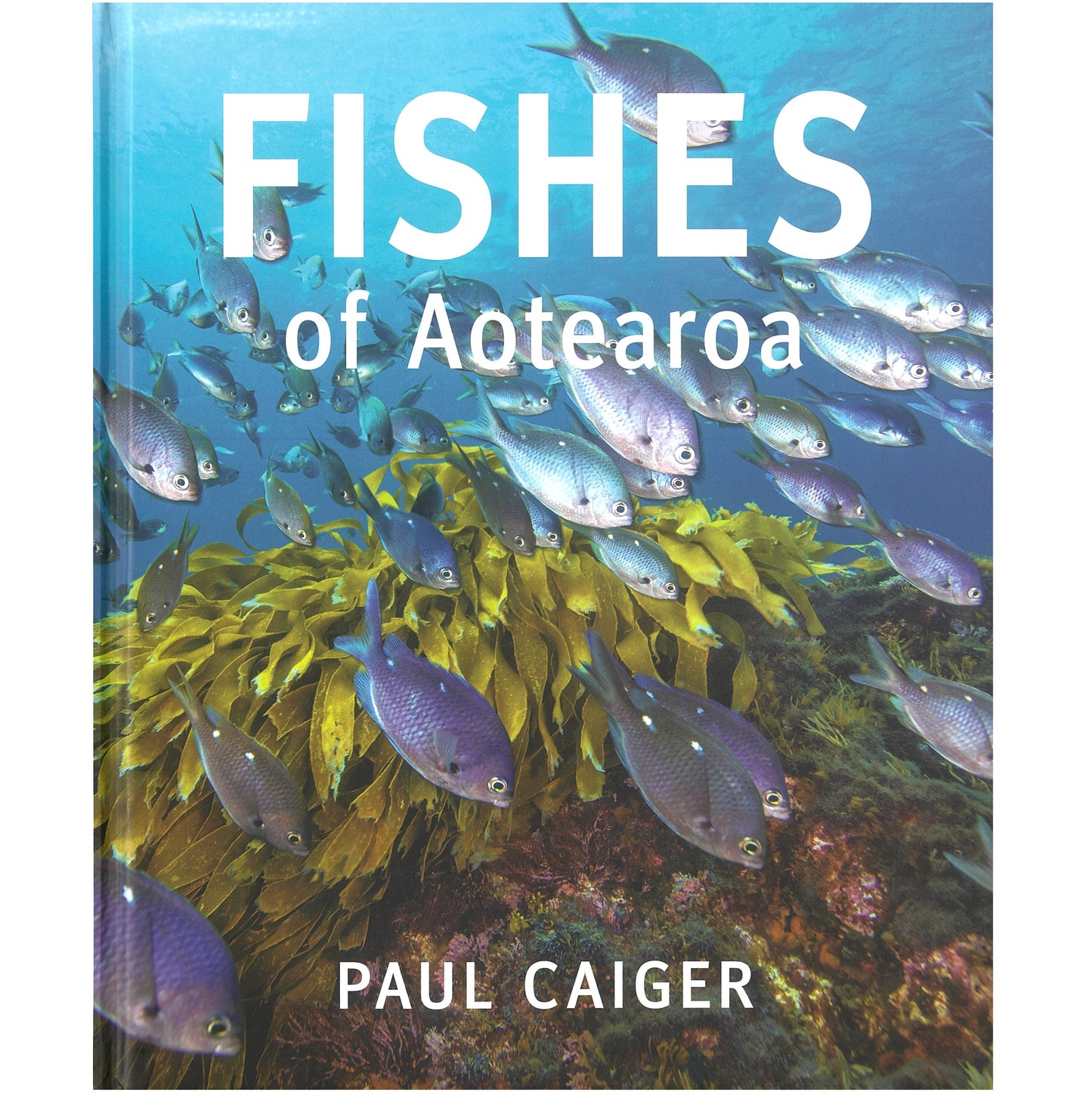 Fishes of Aotearoa New Zealand