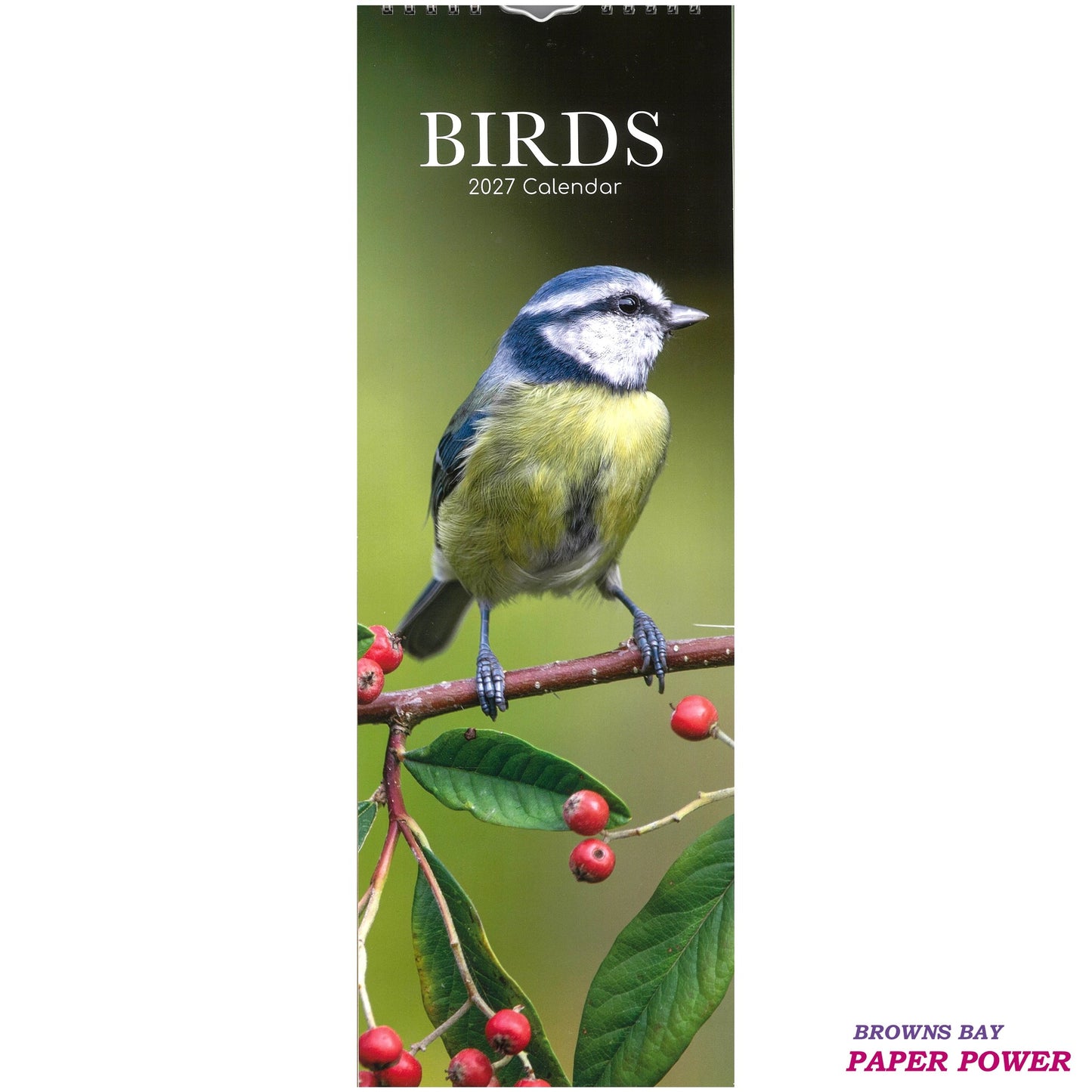 2027 Wall Slim Calendar Birds