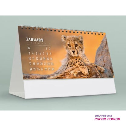 2027 Desk Calendar - Animal Kingdom