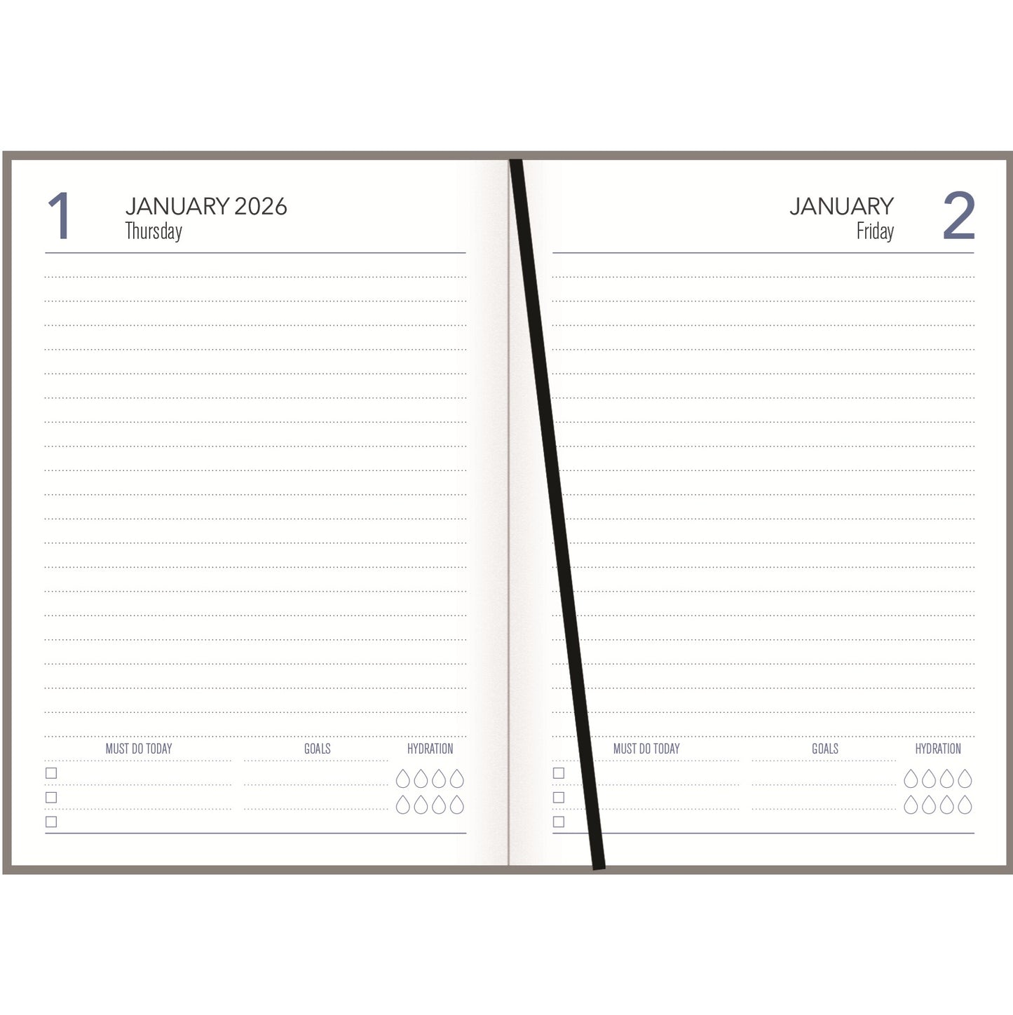 Collins A51 Diary - Carnival