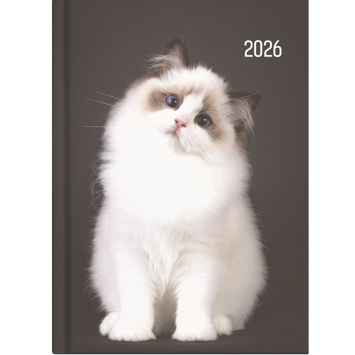 Collins A51 Diary - Cat & Dog