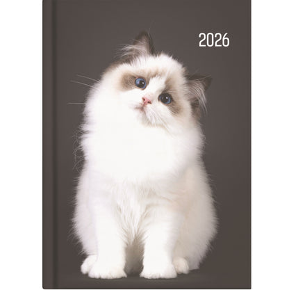 Collins A51 Diary - Cat & Dog