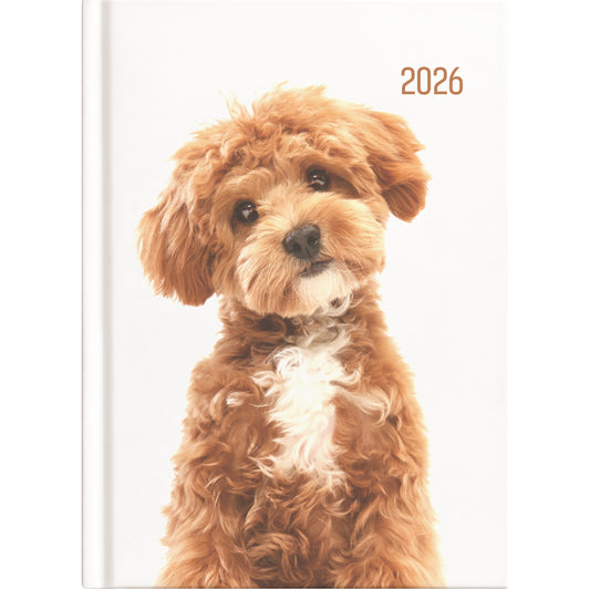Collins A51 Diary - Cat & Dog (Copy)