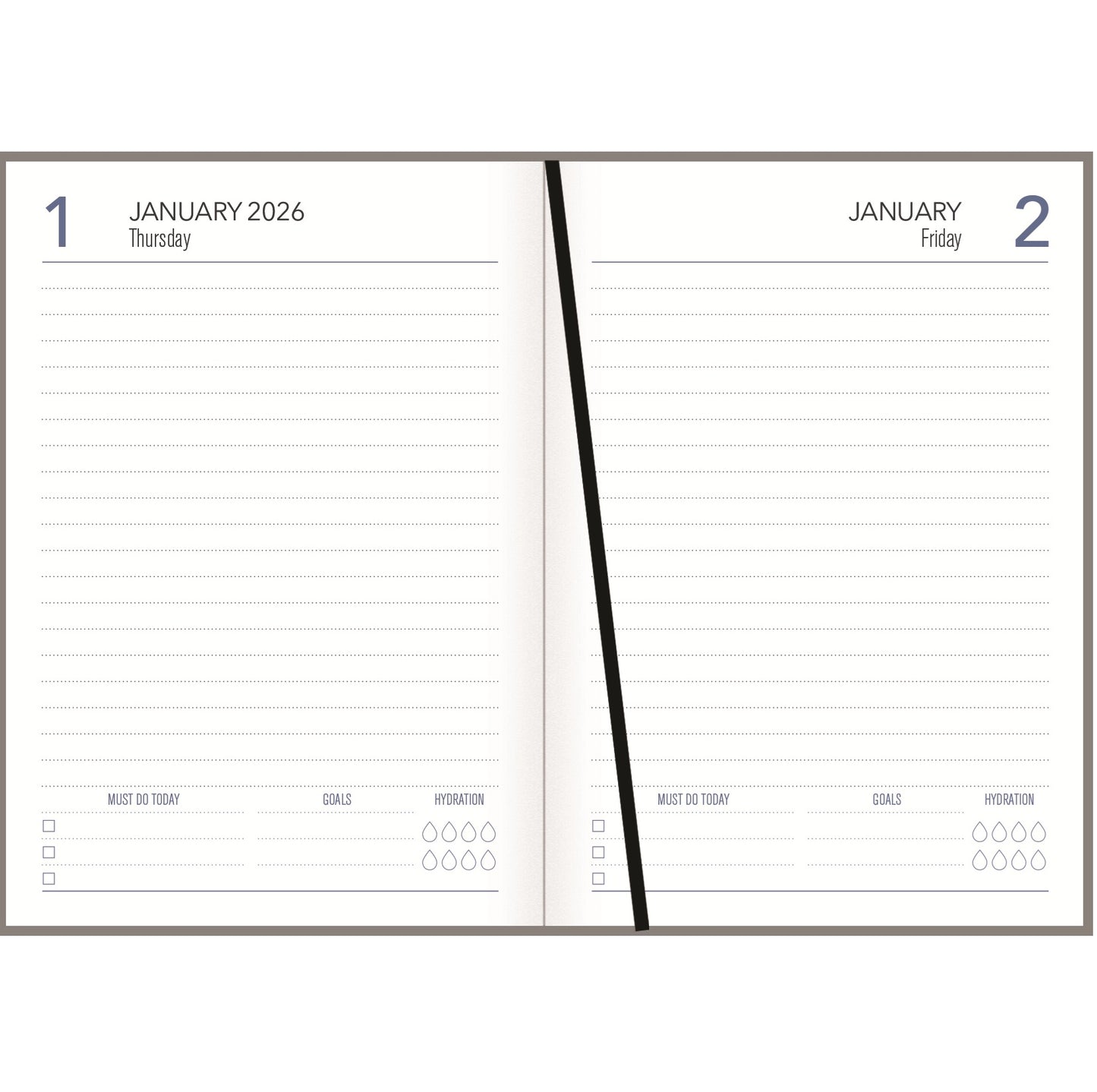 Collins A51 Diary - Cat & Dog (Copy)